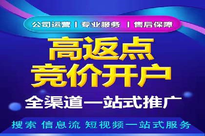 百度推广费用的投入与市场占有率提升的关联案例